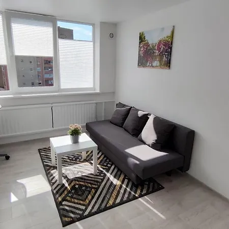 Apartment Light And Useful Kaunas
