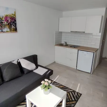 Light And Useful Apartment Kaunas